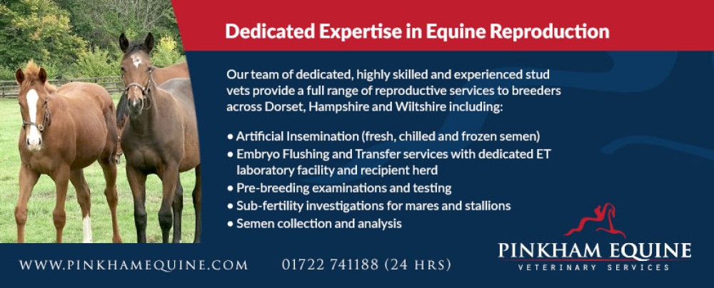 Pinkham Equine Veterinary Services